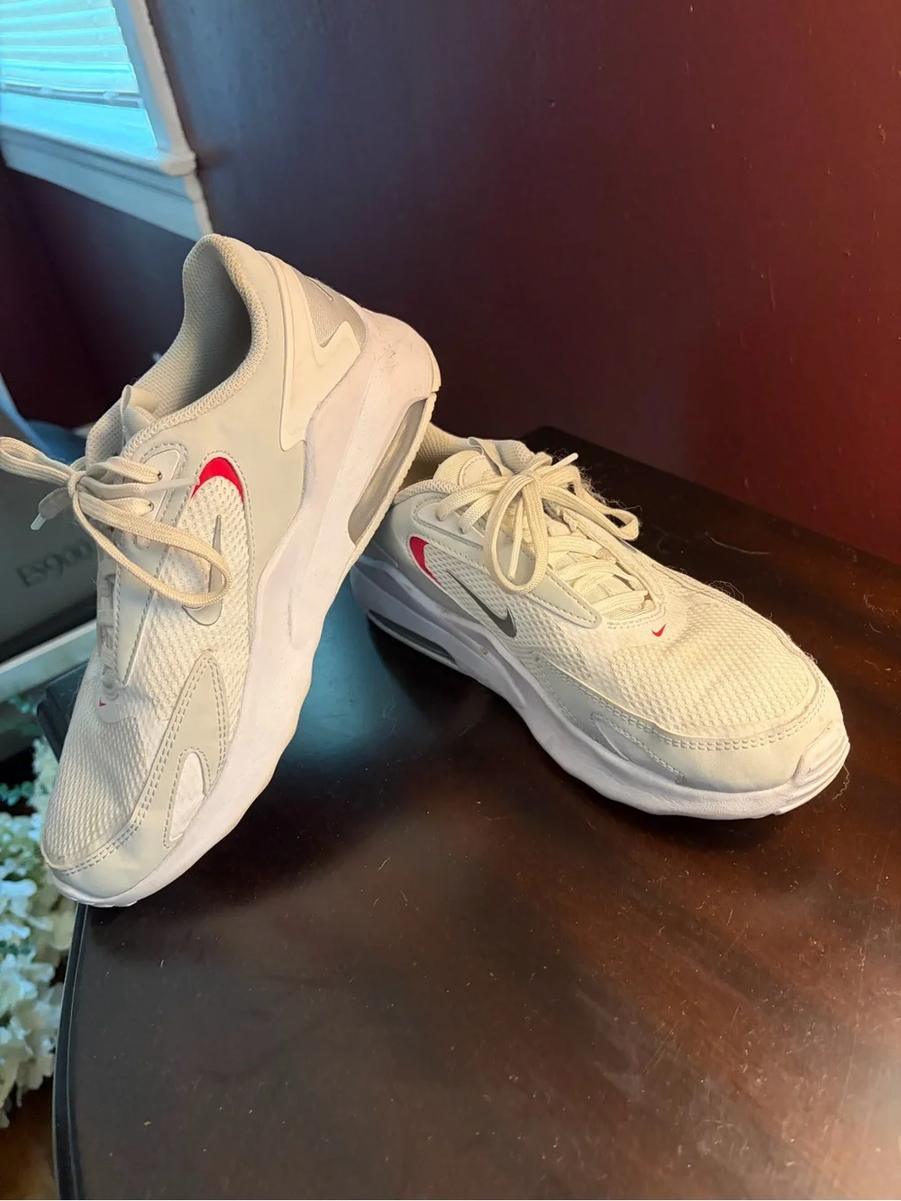 Nike Air Max Sneakers